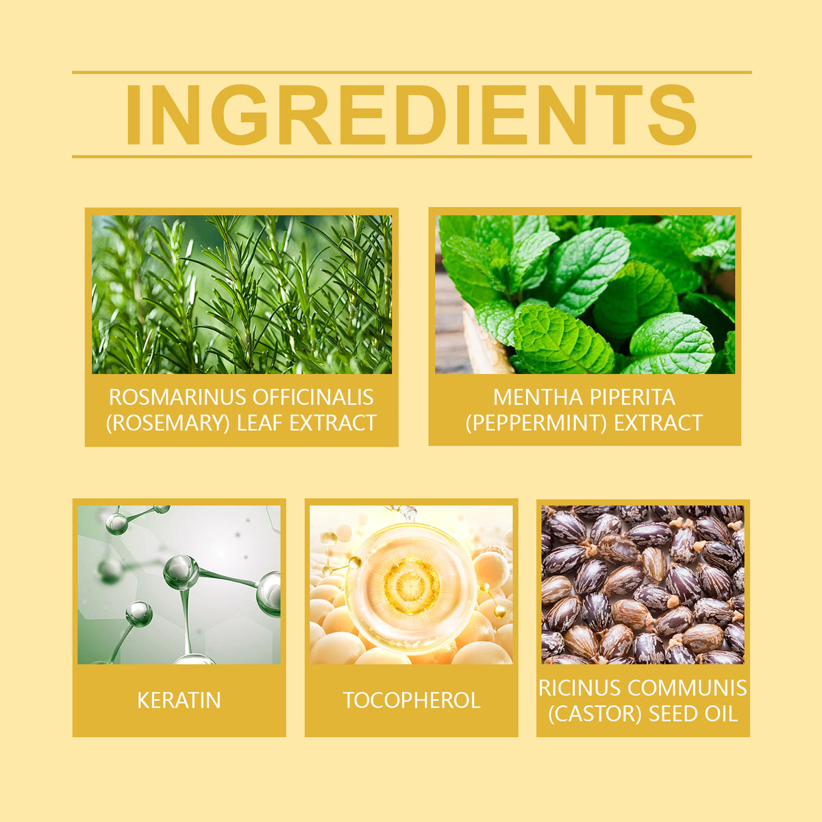 Rosemary Mint Hair Care Oil Hydrating Hair Care Soft Nourishing Hydrating Daily Massage Hair Care Oil