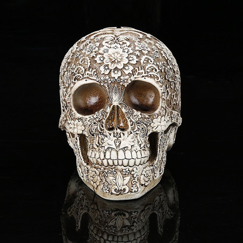 Medical model of resin skull carved human skull