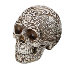 Medical model of resin skull carved human skull