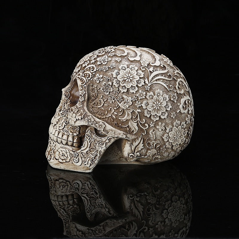 Medical model of resin skull carved human skull