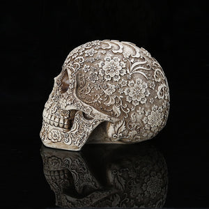 Medical model of resin skull carved human skull